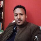 Mr. Tewodros Salemot